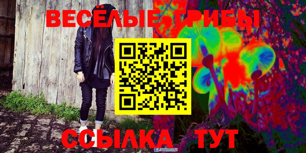 Псилоцибиновые грибы Magic Shrooms  Галлюциногенные грибы Cubensis  Назрань  Вход с VPN 